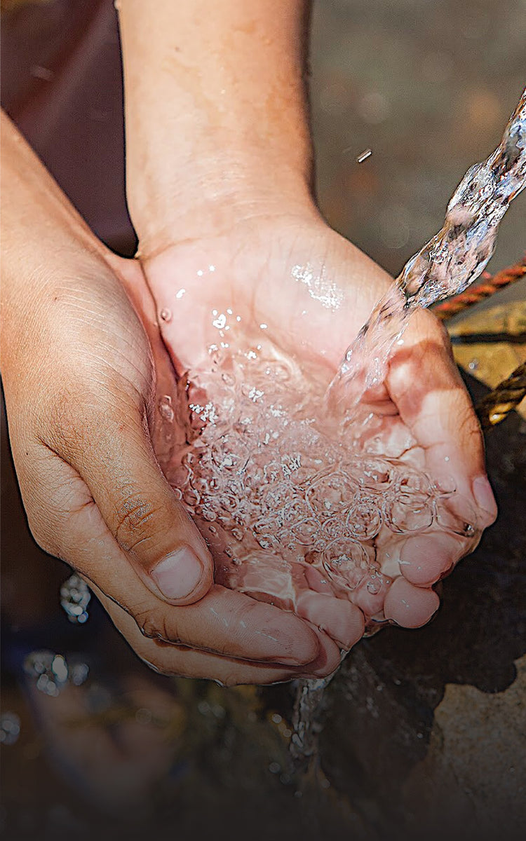 Fresh Water Pumps
