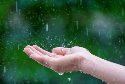Summer who? Let's chat Rainwater Harvesting while summer has brought us an onslaught of rain!