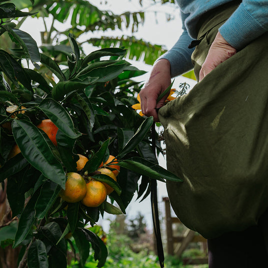 Linen Harvest Apron